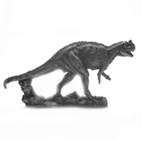 Ceratosaurus